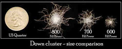 comparing the different fill powers image of down clusters next to a US quarter for size comparison.