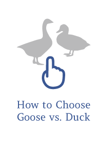 How to choose goose vs duck
